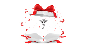 Fort Wayne chiropractic care as  a gift