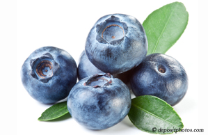 Fort Wayne chiropractic and nutritious blueberries